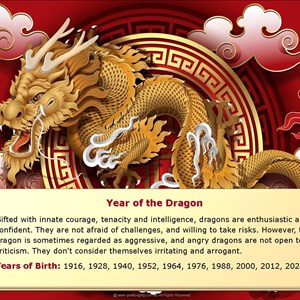 Year of the DRAGON Zodiac Poster