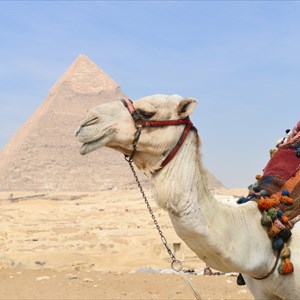 armchair travel egypt